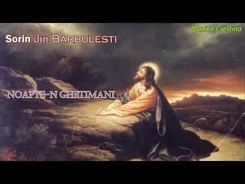 Sorin din Barbulesti- Noapte-n Ghetimani