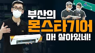 퀘이사존