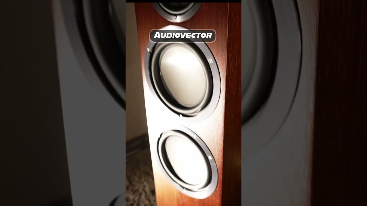 Audiovector
