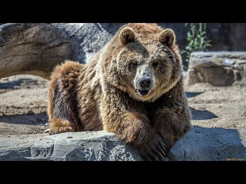 Карелия 2019. Рыбалка в Карелии. Прибытие, разведка, отдых. Карельская, Белорусская Банда. 2000 км.
