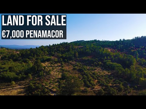 CHEAP FARM LAND FOR SALE - PENAMACOR - €7,000 EUROS