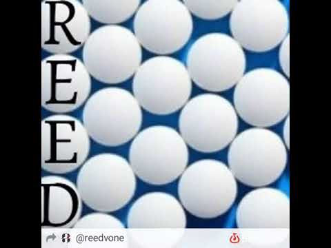 Soberdose - Reed (Prod. Bluzz Lebleu)