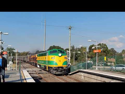 SCTV 467: ANZAC Aurora Chase