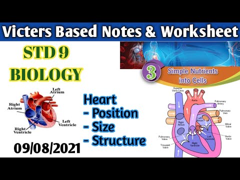 Biology Chapter 11.2 Worksheet Answers: Detailed Login ...