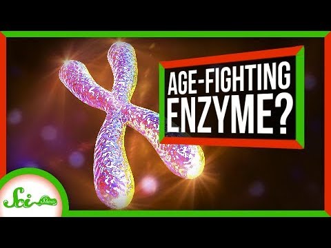 A Cancer Gene May Be More Friendly Than We Thought | SciShow News