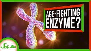 A Cancer Gene May Be More Friendly Than We Thought | SciShow News
