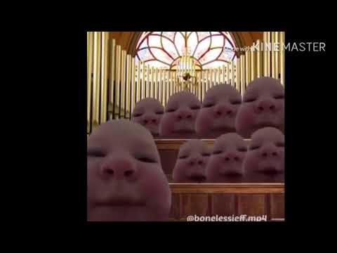 The coconut song sang by a choir of babies