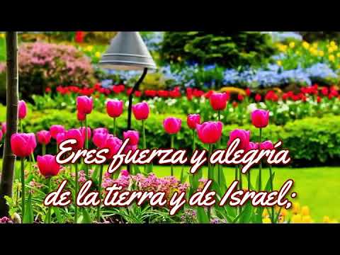 Ven Jesús Muy Esperado - Charles Wesley