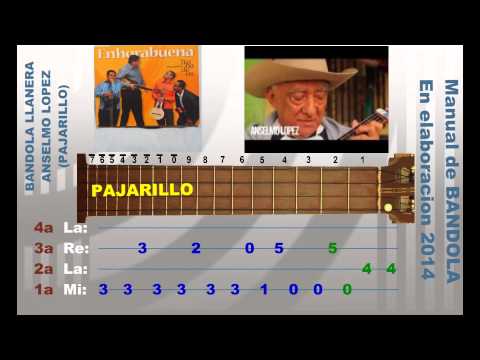 BB Bandola Llanera Pajarillo Anselmo LOPEZ Pedro Borrero