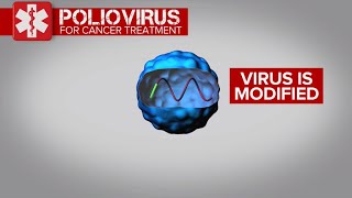 Use of polio virus in treating brain cancer shows 