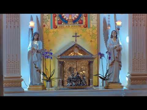 En honor a María Auxiliadora, celebremos la Santa Misa bajo su maternal protección y guía.