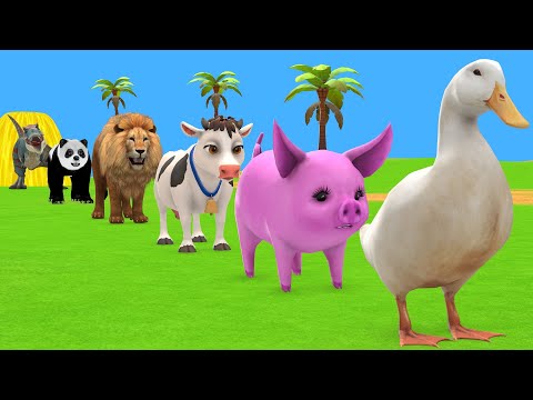 Long Slide Game With Cow Elephant Gorilla Hippopotamus Tiger 3d Animal Game Funny 3d Animals