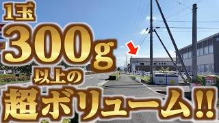 【めっちゃ量多くてサービス良すぎ！！少なくとも300g以上ある特大うどん店！！】満足度が凄い！幹線道路に車が溢れてることもあるほど人気な讃岐うどんの名店【うどん屋 まつはま】香川県高松市