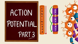 Action Potential | Part 3 | Propagation | Saltatory Conduction | Nerve Muscle Physiology