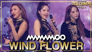 [HOT] MAMAMOO - Paint Me+Wind flower+Starry Night+Egotistic
