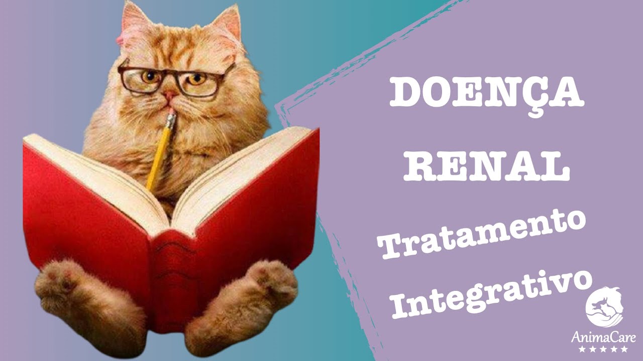 Doença Renal em Cães e Gatos - Insuficiência Renal - Medicina Integrativa -Dra Juju