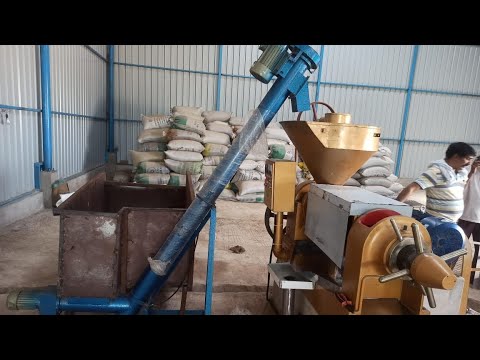 Commercial Oil Extraction Machine