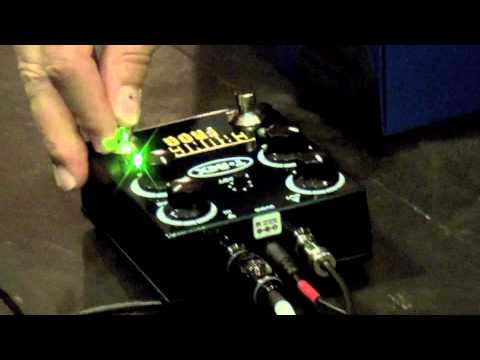 Warner Hodges & T-Rex Crunchy Frog