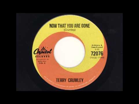 Now That You Are Gone - Terry Crumley
