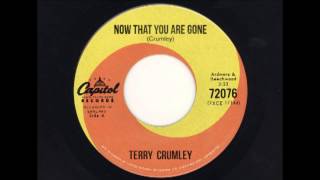 Now That You Are Gone - Terry Crumley