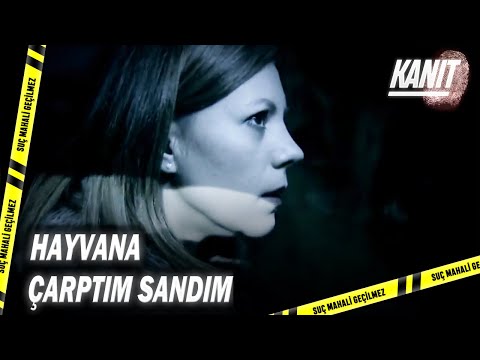 Bir Anlık Dalgınlık Genç Kızın Hayatına Mal Oldu! - Kanıt 43.Bölüm