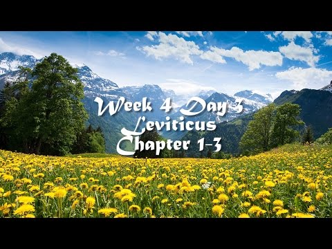 Audio Bible Reading Plan - Week 4 Day 3 (Leviticus 1-3)