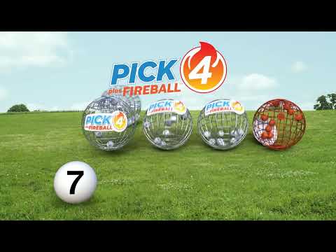 IL Lottery Midday 02/13/2022