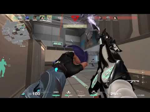 insane sova lineup 1