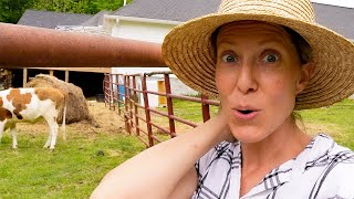 OUR COW ESCAPED + HER NEW SETUP