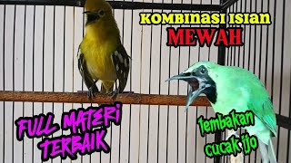 Download lagu Kombinasi Suara Sirtu terbaik,dengan materi mewah.cocok untuk masteran. mp3