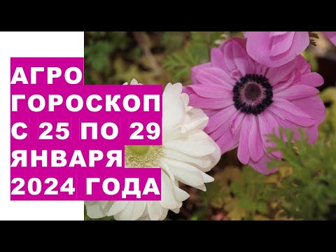 , title : 'Агрогороскоп с 25 по 29 января 2023 года. Agrohoroscope from January 25 to 29, 2024'