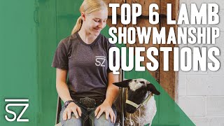 Top 6 Questions Lamb Showmanship Judges Ask