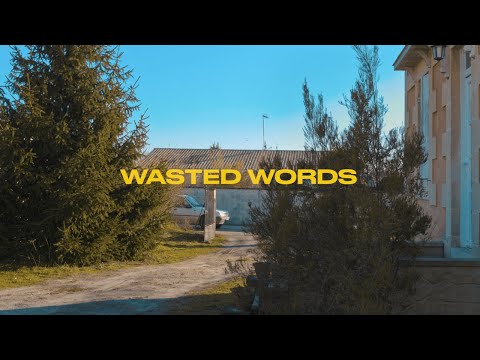 Wasted Words - The Barking Spiders
