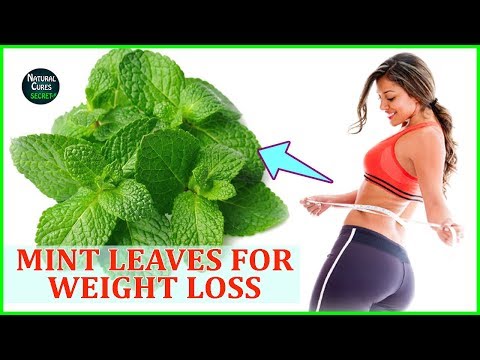 Manipis na liquid chestnut review Ang opisyal na website ng tsokolate slim slimming Belarus