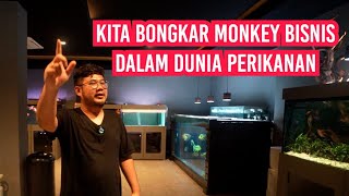 JANGAN TERSINGUNG‼️BONGKAR MONKEY BISNIS DALAM DUNIA PERIKANAN INDONESIA