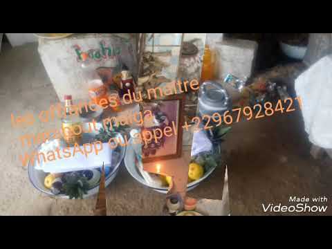 Les offrandes du maitre marabout maïga whatsapp +22967928421