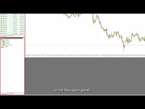 Video Update History 28