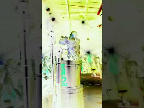 Bezz Believe - DJ Lee: Everybody be talking #NewMusic2021 #Rap #music #Video #legallean