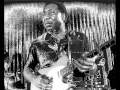 No Escape From The Blues / Muddy Waters