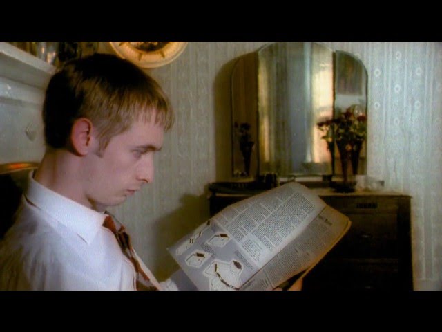  Becoming More Like Alfie - The Divine Comedy