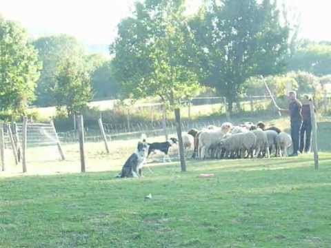 Doc travail Ganjah flippe .MOV