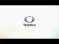 Televisa Presenta Network Bumper Flowers 2020
