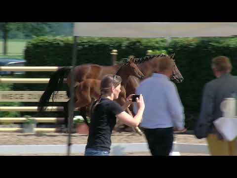 Stf v Erdinger x Desperados x Ruiz Soler 2019