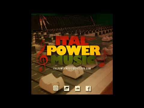 IPM12008:WAYNE MARSHALL/M.ITAL/ITAL POWER MUSIC