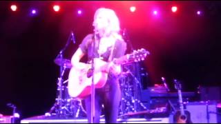 The Common Linnets - Arms of Salvation