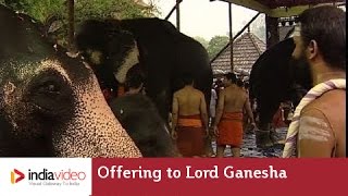 Holy Offering to Lord Ganesha