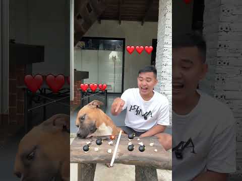 เลือกขนมกับหมา