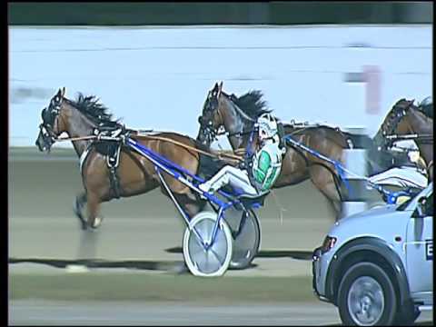 Trotto 23/07/2016 - 3° corsa