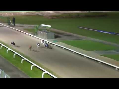 Acomb Winston - BGBF British Breeders Stakes - Heat 3