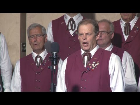 Carinthia-Chor Millstatt -"Follt die Zeit"  Solist: Michael Waschnig)